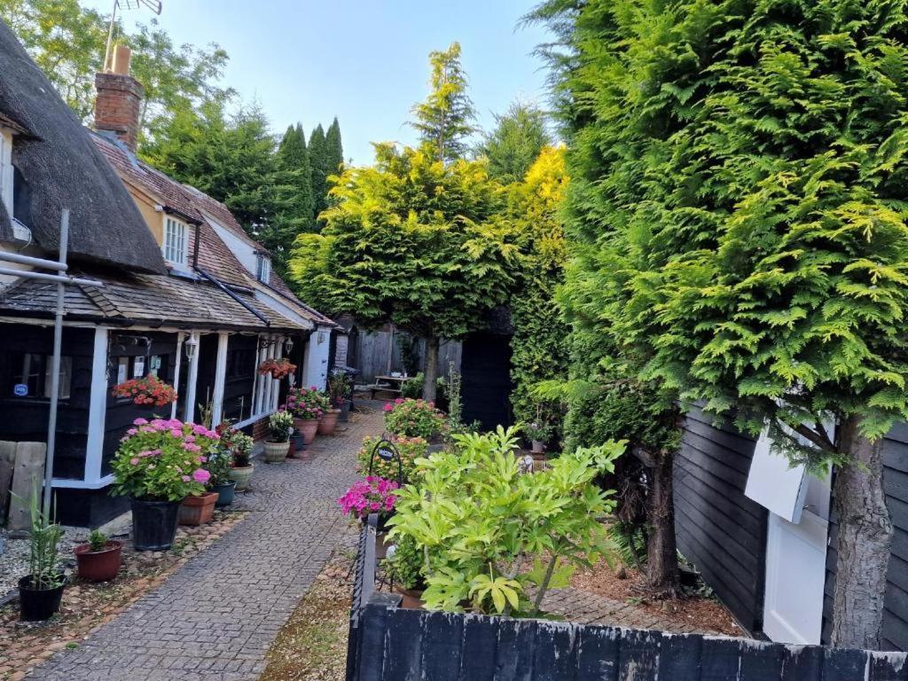 Abingplough House Bed & Breakfast Abingdon-on-Thames Bagian luar foto