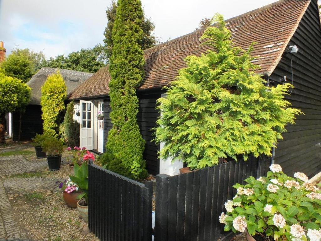 Abingplough House Bed & Breakfast Abingdon-on-Thames Bagian luar foto